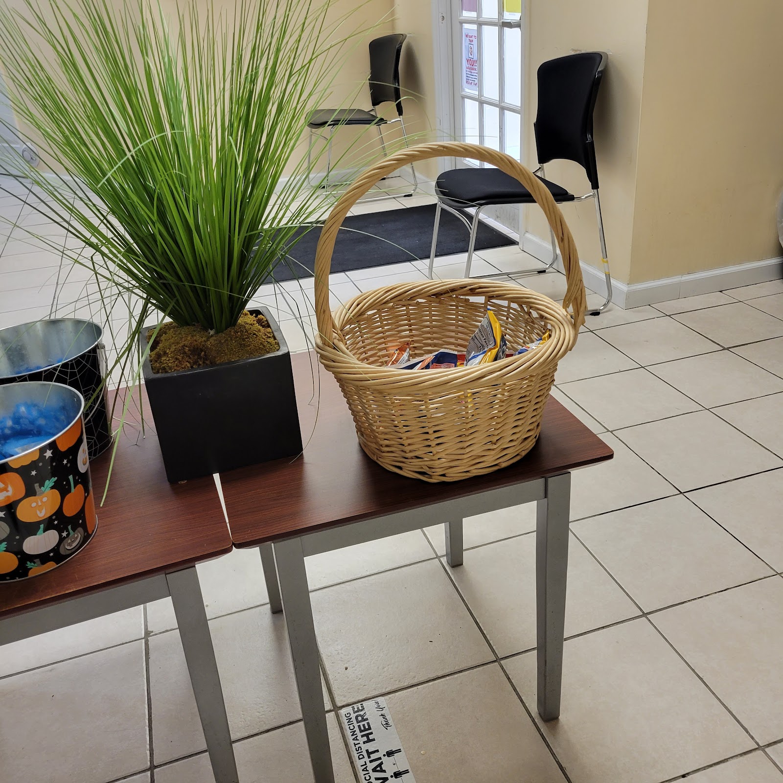 Interior common space with black chairs, decorative green plants in planters, and wicker basket