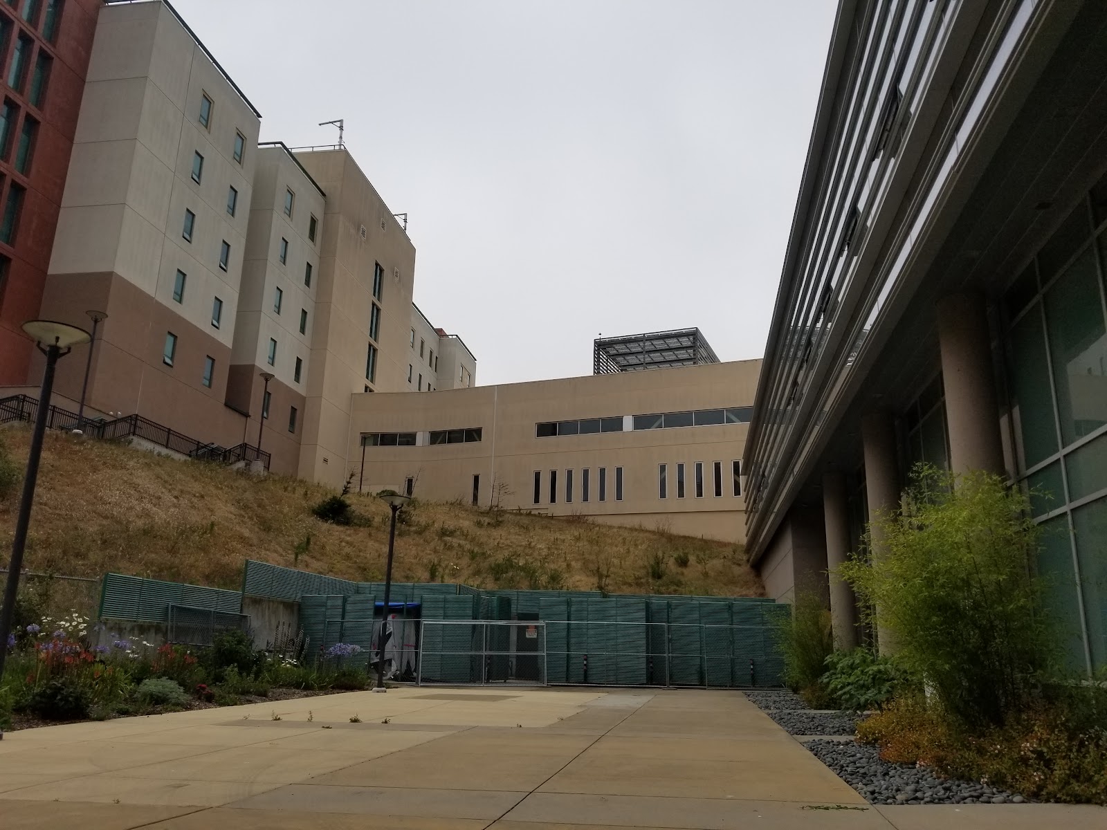 Interior courtyard space with landscaping, seating benches, and multiple facility buildings surrounding outdoor gathering area