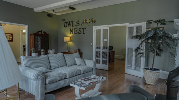 Interior common area with striped sofa, wood flooring, Owl's Nest facility signage on green walls, plants, and open layout