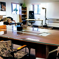 Interior professional counseling office with wooden desk, office chair, lamp, monitor, artwork and window light
