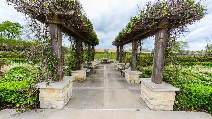 Outdoor landscape feature with wooden pergola structure covered in climbing vines and plants lining walking path