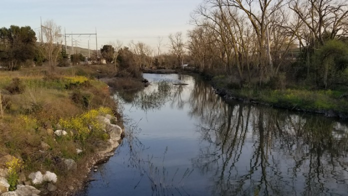 Outdoor natural area with stream, landscaping, vegetation, and power lines, near facility grounds