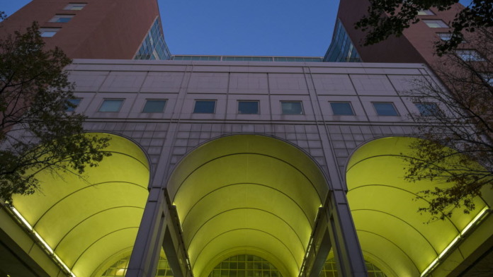 Exterior view of curved yellow architectural canopy with building facade and landscaping above entrance
