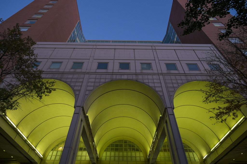 Exterior view of curved yellow architectural canopy with building facade and landscaping above entrance