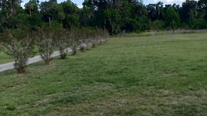 Facility grounds showing open green space, tree-lined walking path, mature landscaping, and natural setting