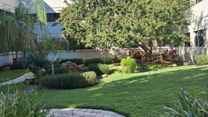 Outdoor courtyard area with mature shade tree, landscaped beds, stone patio walkway, and multi-story building facade surrounding garden space