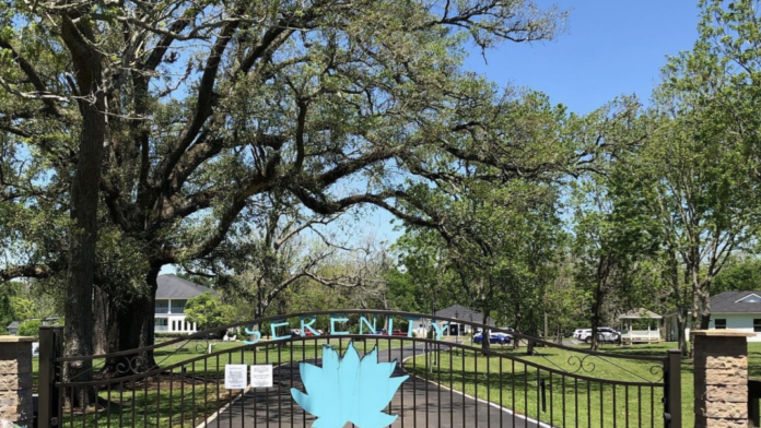 Ornate iron gate entrance with Serenity Light Recovery logo sign, mature oak tree canopy, and facility grounds