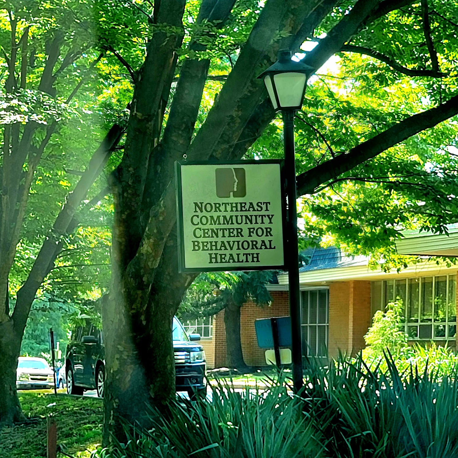 Outdoor sign for Northeast Community Center for Behavioral Health mounted on pole beneath large shade trees with facility visible in background