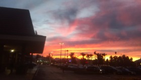 Exterior view of building facade at sunset with parking lot, street lighting, and tropical landscaping