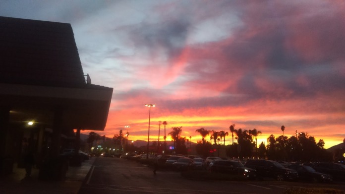 Exterior view of building facade at sunset with parking lot, street lighting, and tropical landscaping