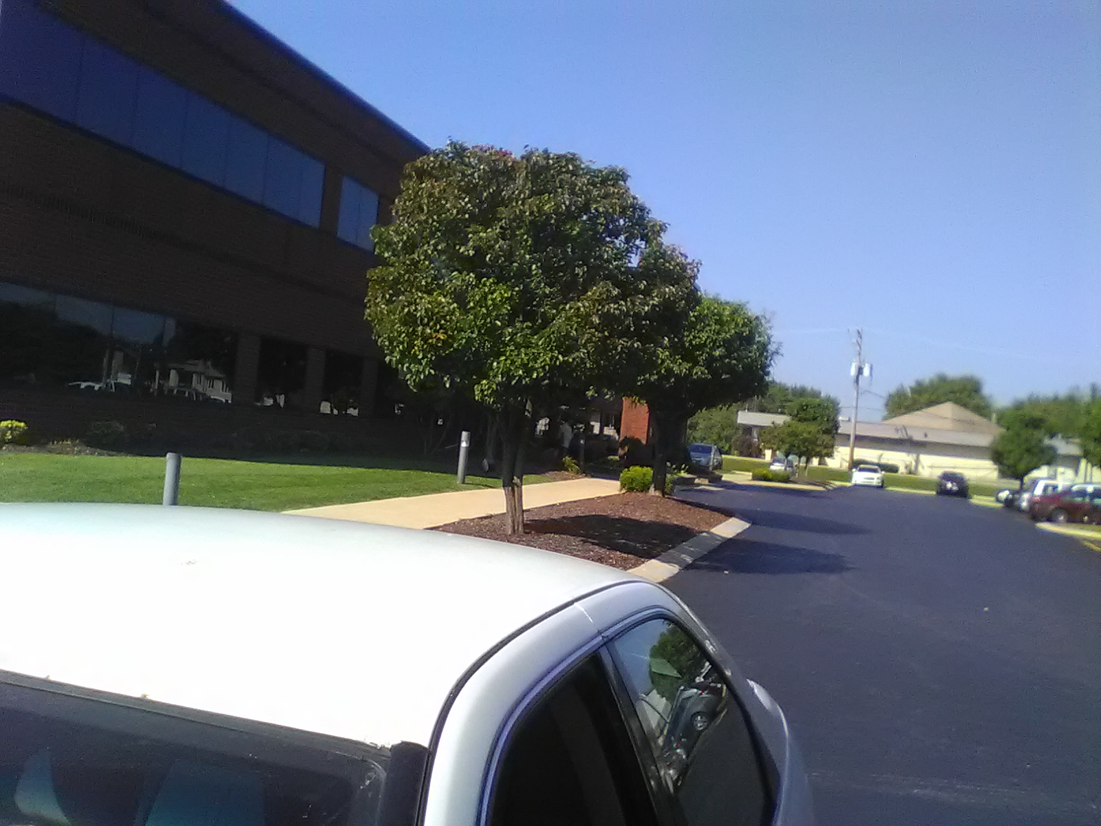 Exterior grounds showing manicured lawn, mature trees, and paved driveway with facility building in background