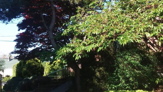 Outdoor grounds showing landscaping with trees, plants, and red safety fencing around facility perimeter