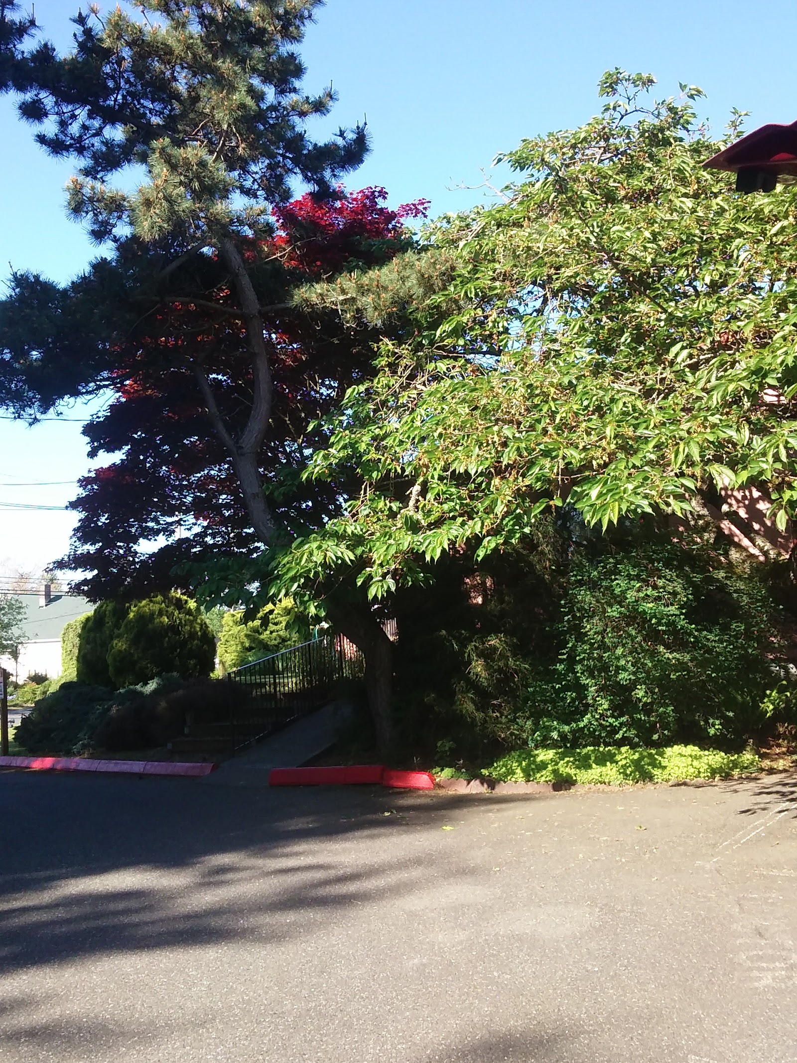 Outdoor grounds showing landscaping with trees, plants, and red safety fencing around facility perimeter