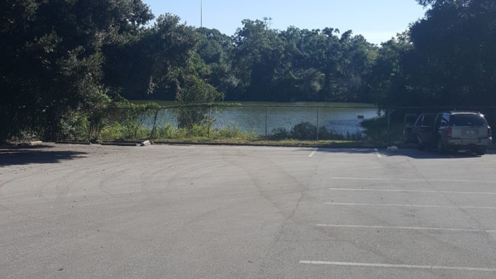 Outdoor grounds with waterfront view behind fencing, parking area with vehicles, mature trees and natural landscaping