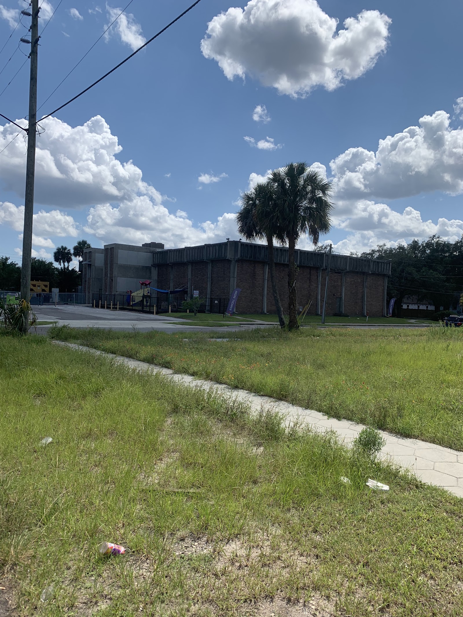 Exterior side view showing brick construction, parking area, mature palm trees, and utility poles