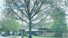 Exterior view of behavioral health facility grounds featuring large mature oak tree, brick building, parking area, and landscaped lawn