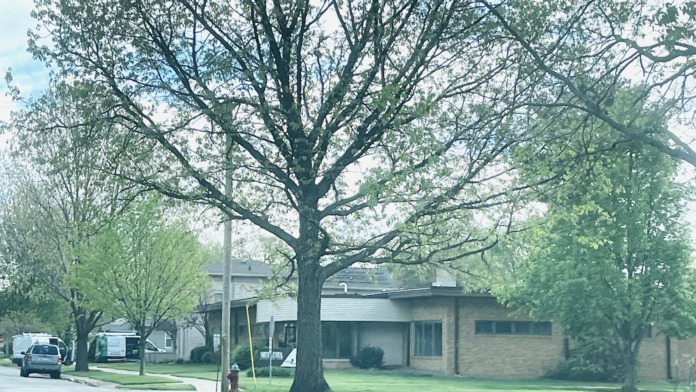Exterior view of behavioral health facility grounds featuring large mature oak tree, brick building, parking area, and landscaped lawn