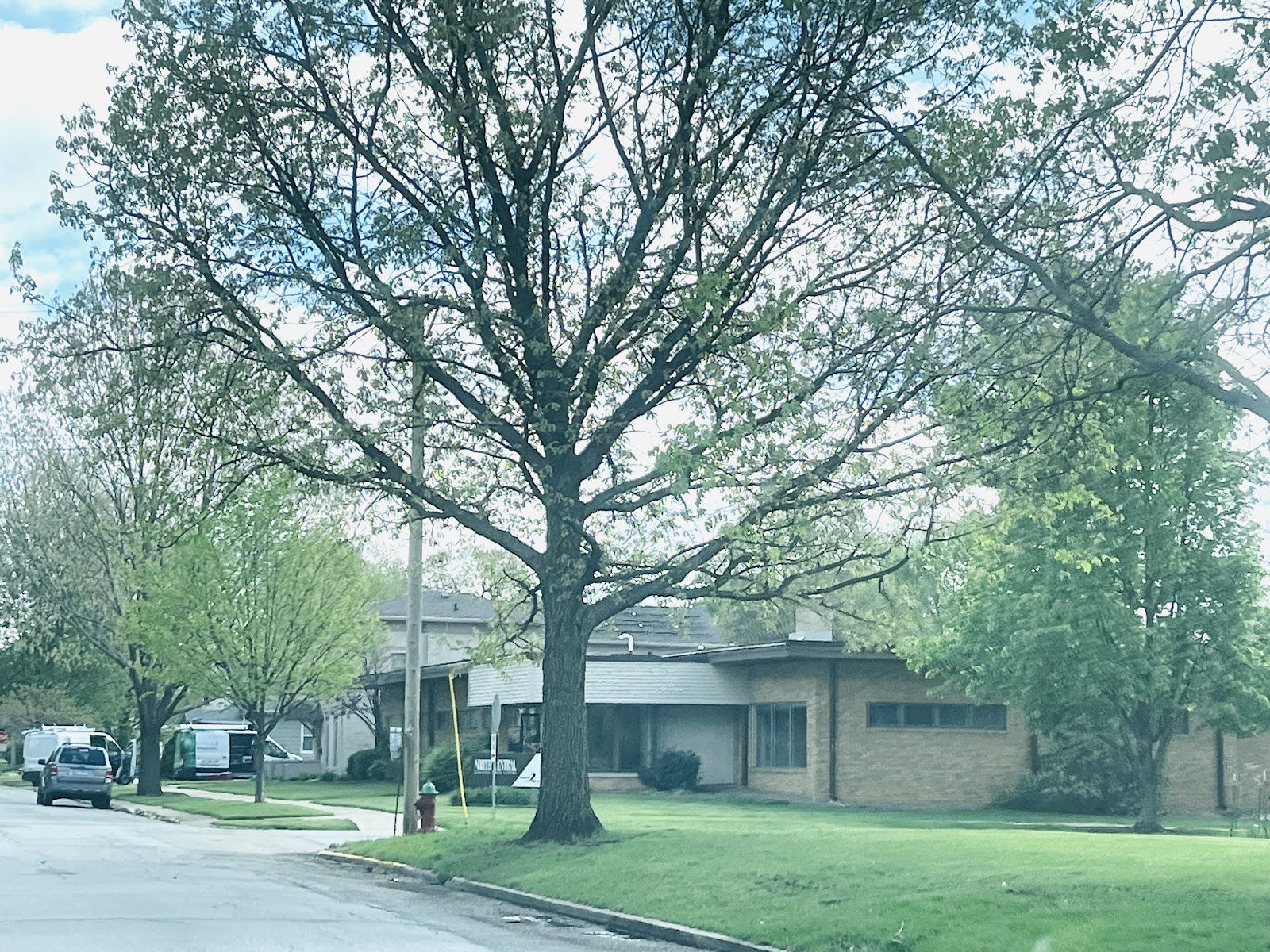 Exterior view of behavioral health facility grounds featuring large mature oak tree, brick building, parking area, and landscaped lawn