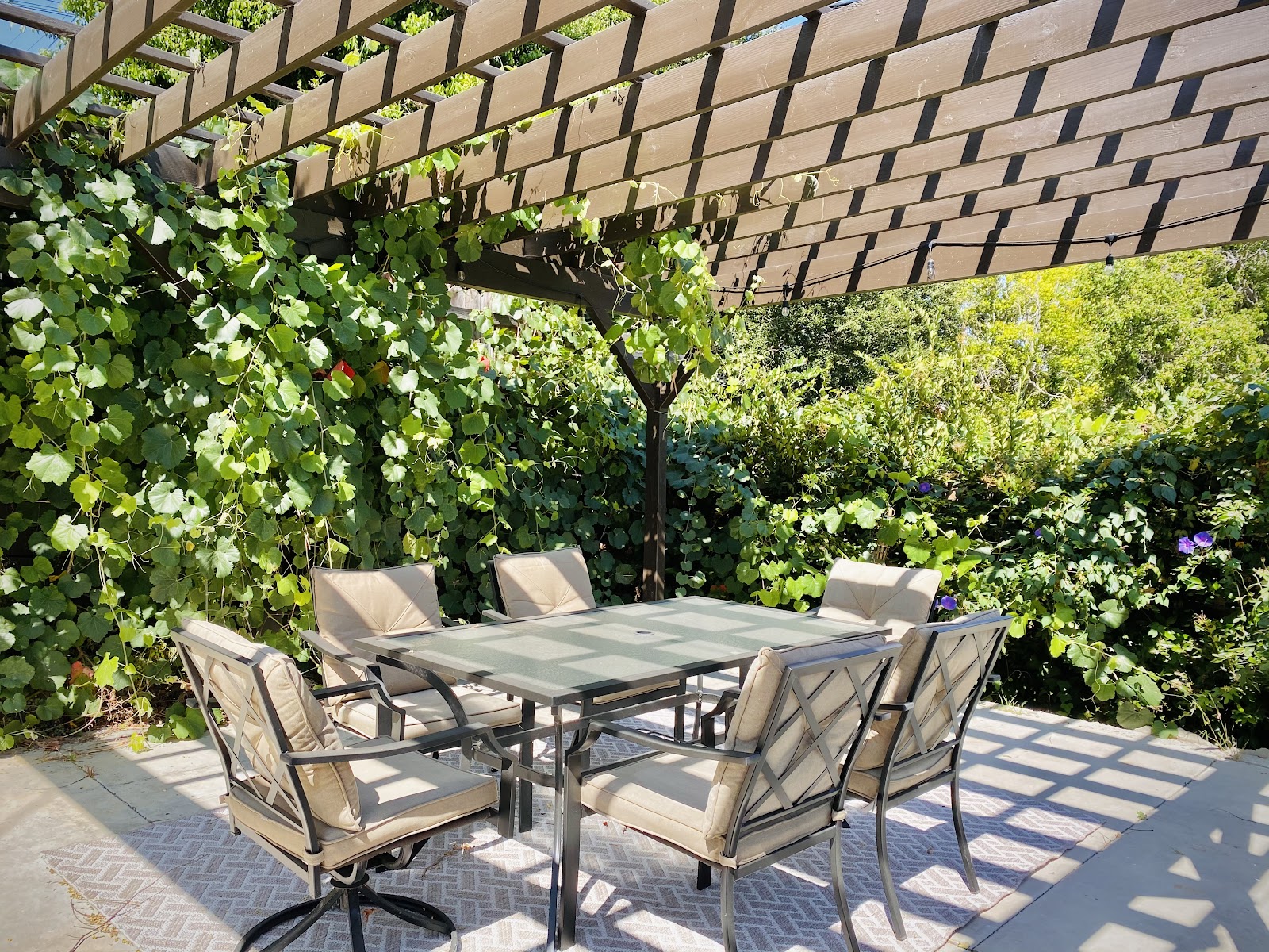Outdoor seating area with pergola structure, upholstered chairs, dining table, and climbing vines
