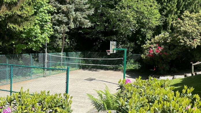Exterior sports court with mesh fencing, flowering plants and shrubs, surrounded by mature forest trees