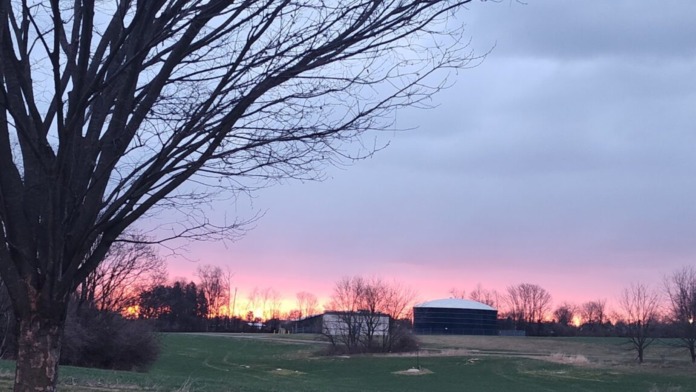 Landscape view of facility grounds featuring large tree silhouette, open field, sunset sky, and distant building