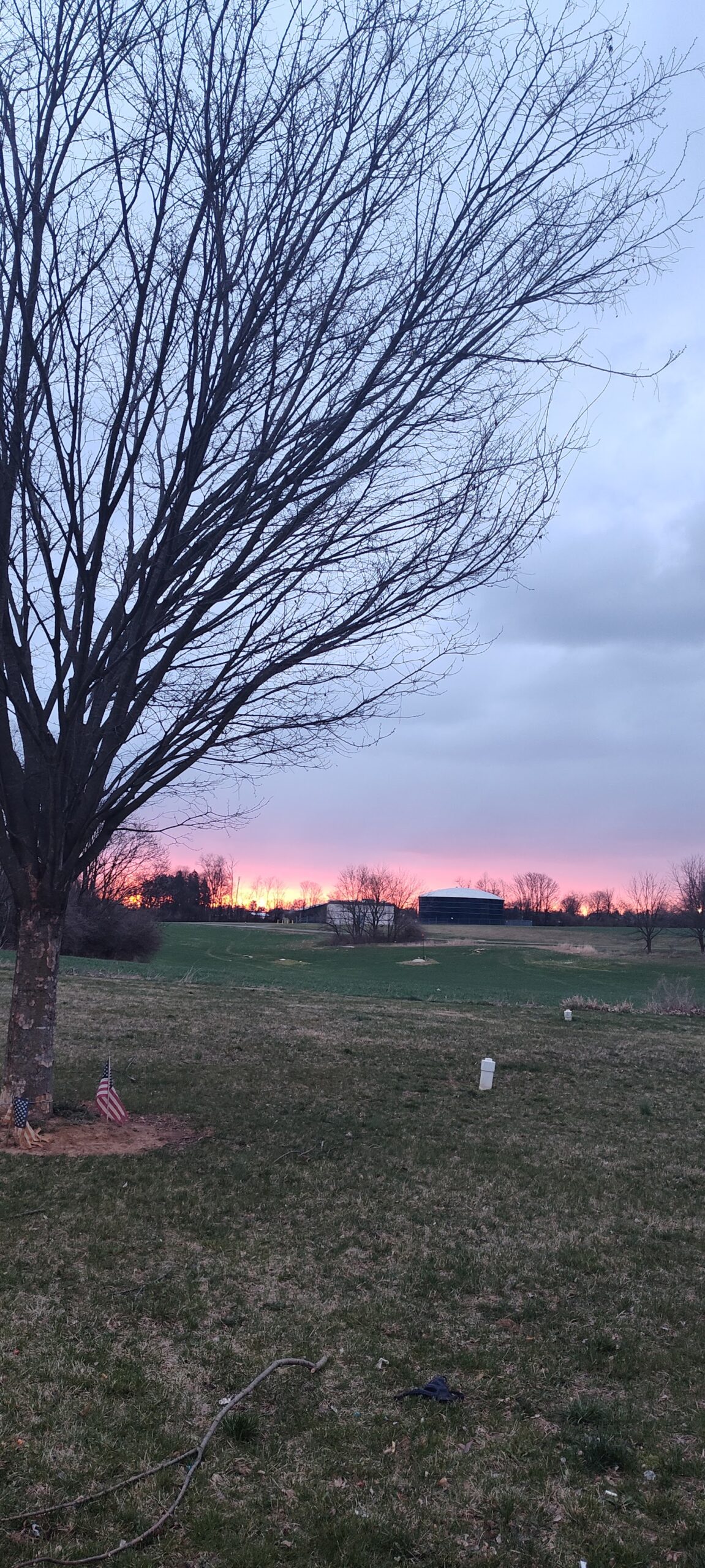 Landscape view of facility grounds featuring large tree silhouette, open field, sunset sky, and distant building