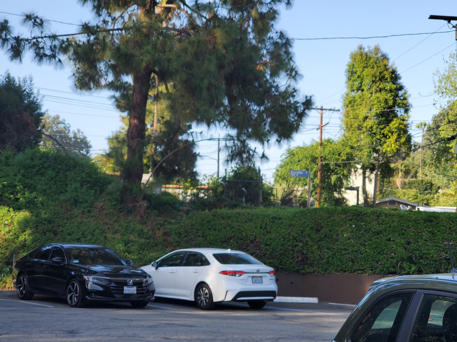 Exterior grounds showing parking lot with multiple vehicles and dense hedges and mature trees