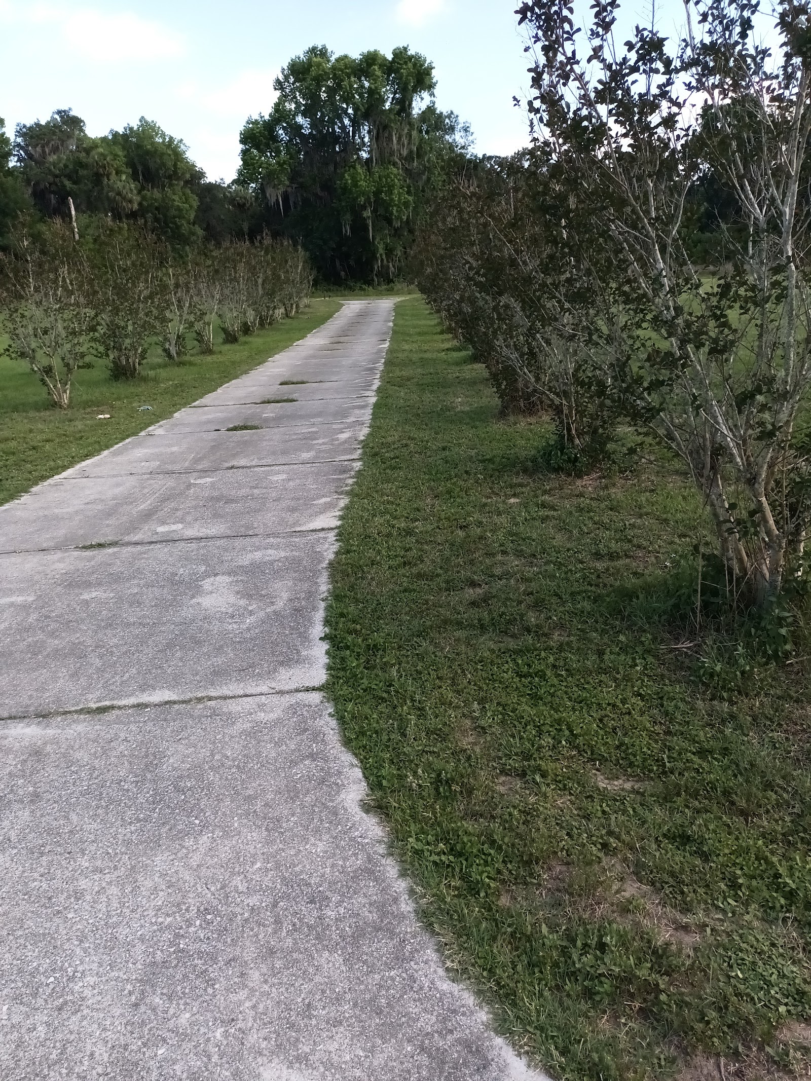 Outdoor grounds featuring paved pathway shaded by mature trees, suitable for therapeutic outdoor activities