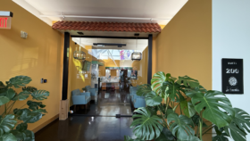 Interior entrance hallway with yellow walls, decorative plants, glass doors, and Suite 200 signage