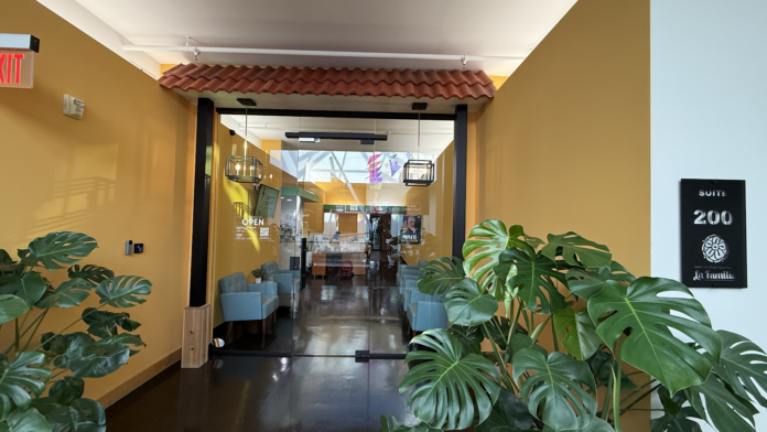 Interior entrance hallway with yellow walls, decorative plants, glass doors, and Suite 200 signage