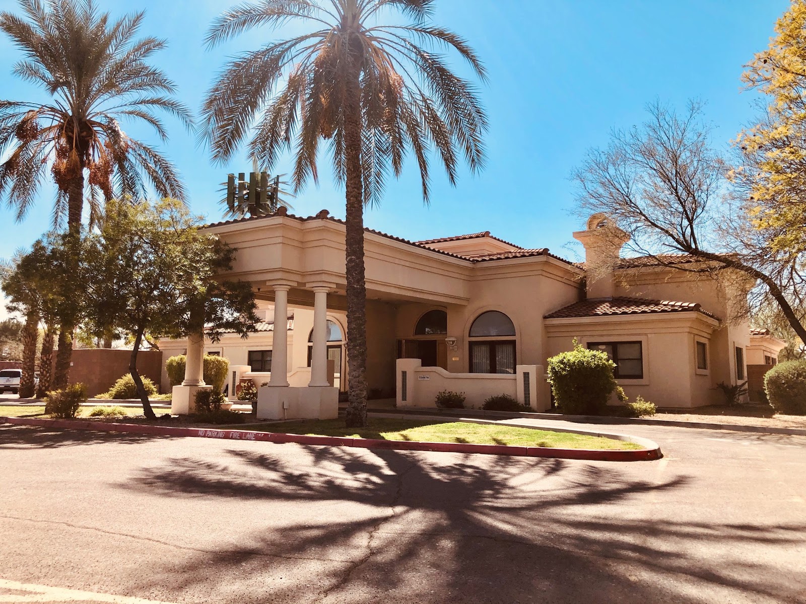 Exterior front entrance with tan stucco facade, arched windows, columns, palm trees, and landscaping