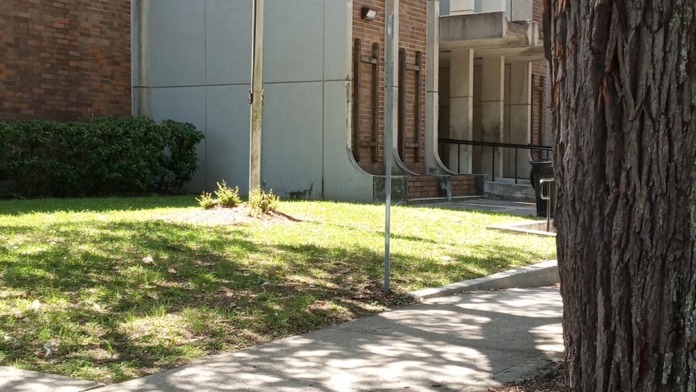 Exterior entrance featuring brick building, mature oak tree with Spanish moss, American flag, and modern metal cladding
