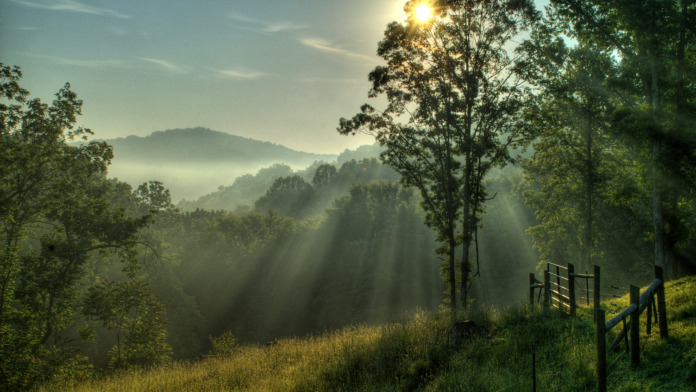 Exterior forest landscape with misty valley, tall trees, fence gate, and morning sunlight through clouds