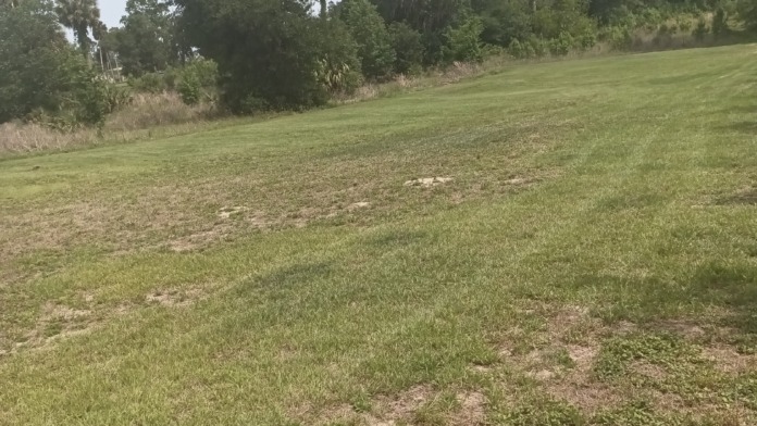 Exterior grounds with open mowed grass, scattered trees, and natural forest backdrop surrounding facility