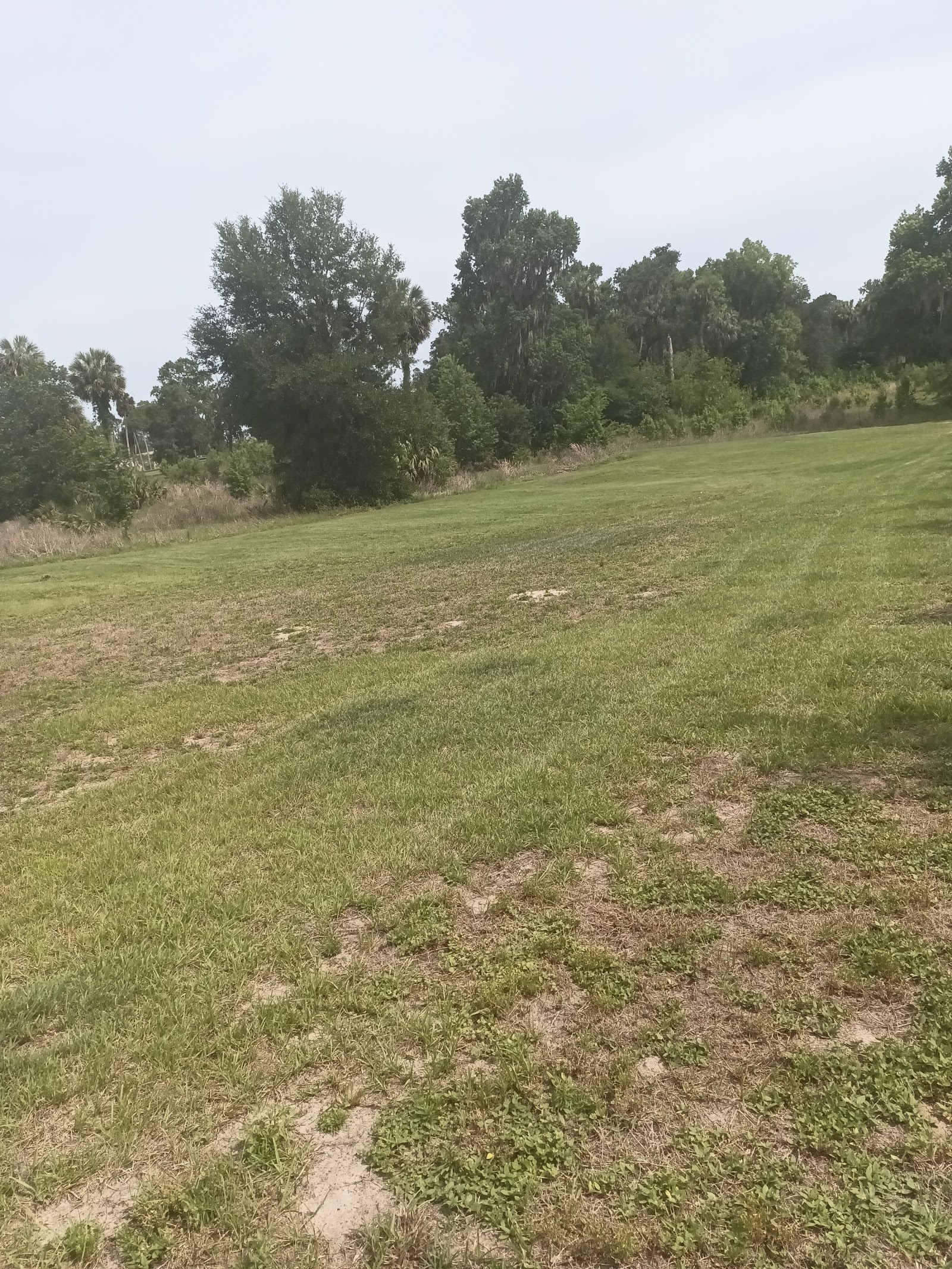Exterior grounds with open mowed grass, scattered trees, and natural forest backdrop surrounding facility