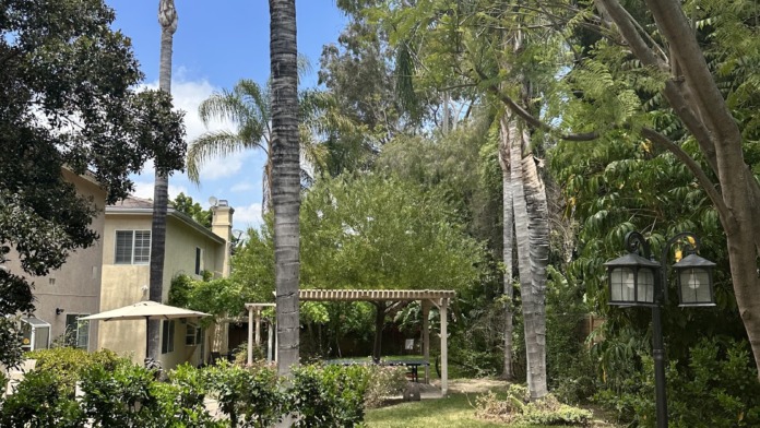 Exterior pathway through landscaped courtyard with palm trees, wooden buildings, and shaded pergola area