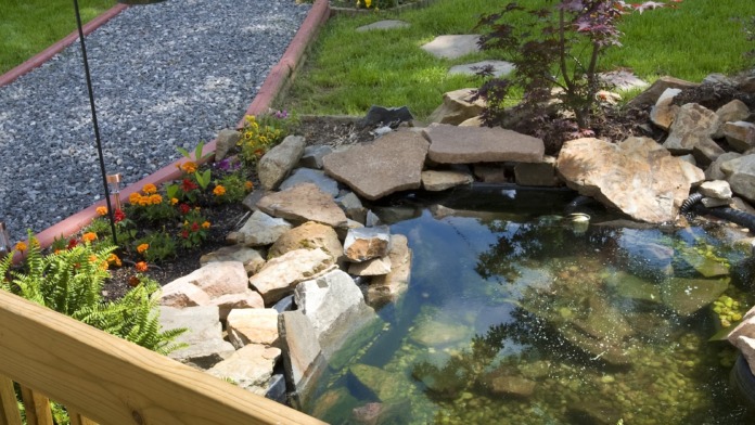 Exterior garden space with decorative koi pond, landscaping, flowering plants, and wooden deck with furniture