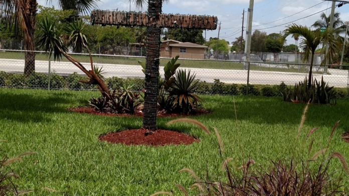 Exterior view of landscaped garden with palm tree, flowering plants, manicured lawn, and facility grounds