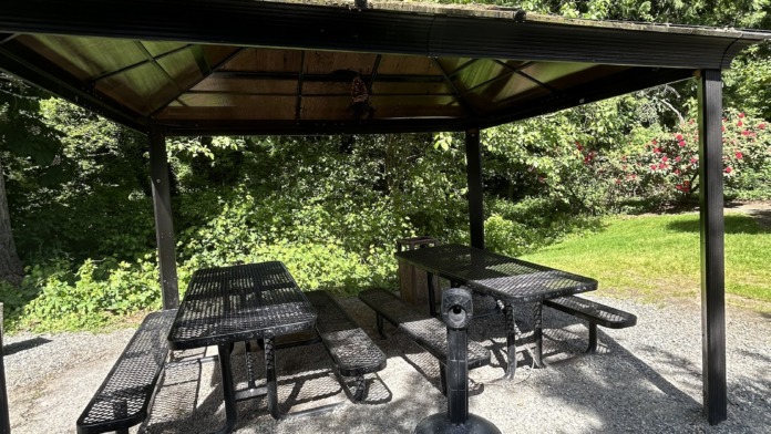 Exterior covered picnic shelter with metal picnic tables, fire pit, surrounded by tall trees and landscaping