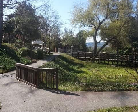 Exterior paved walkway with railings, landscaping, and wooded grounds surrounding treatment facility