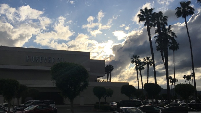Exterior parking lot showing multiple vehicles with palm trees and landscaping under clear sky