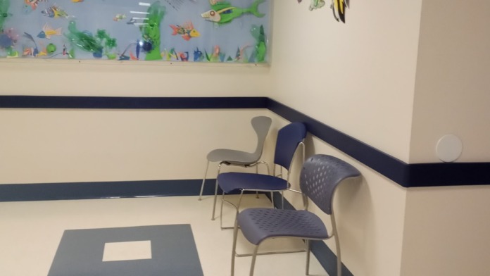 Interior waiting room with colorful fish and aquatic animal artwork, chairs, and informational displays