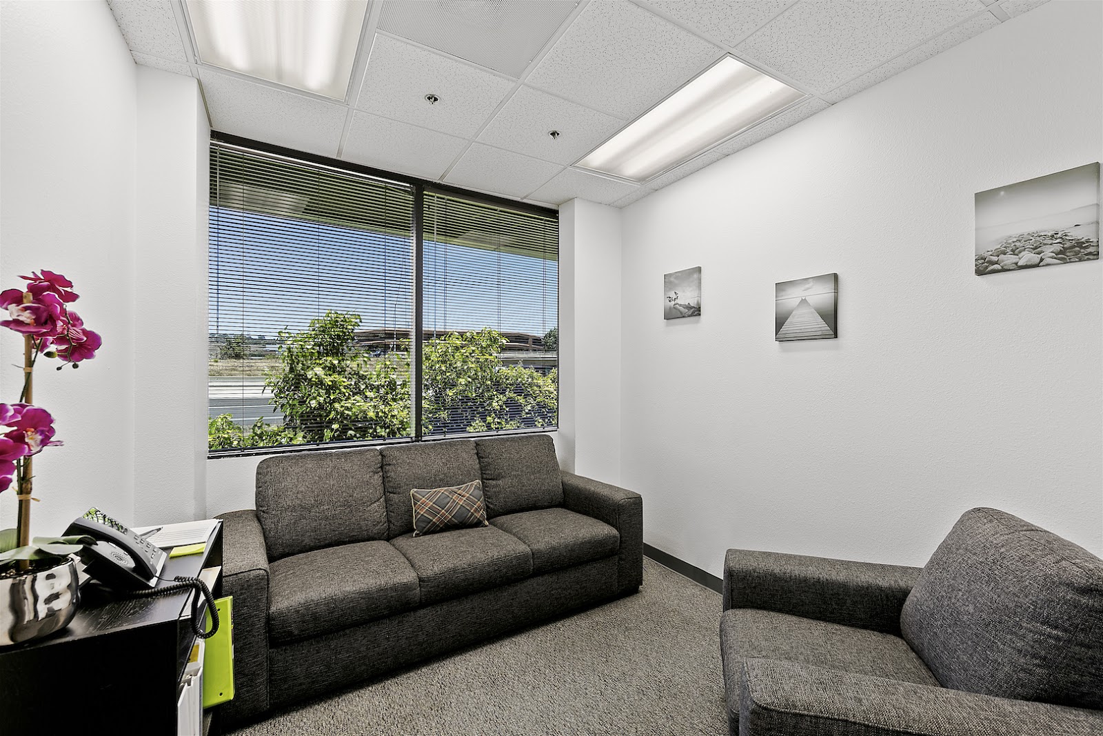 Interior private office with desk phone, flower arrangement, couch, window view, and nature photography