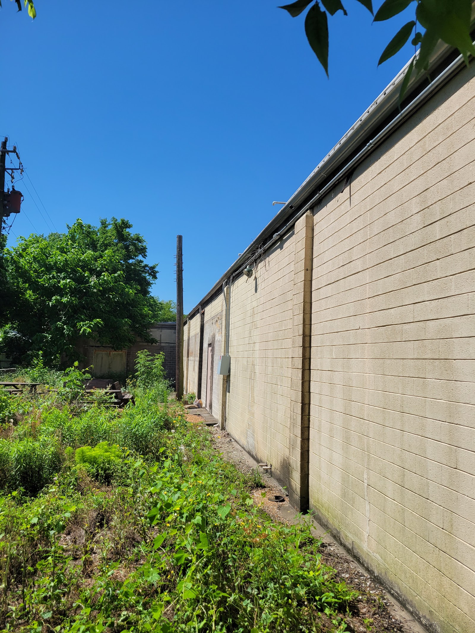 Exterior concrete block building with overgrown vegetation, weathered foundation and natural landscaping