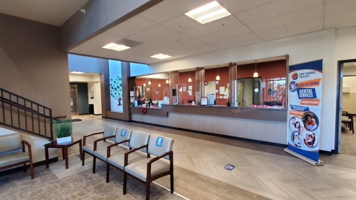 Interior reception area with curved service desk, patient seating, and climbing plant feature wall