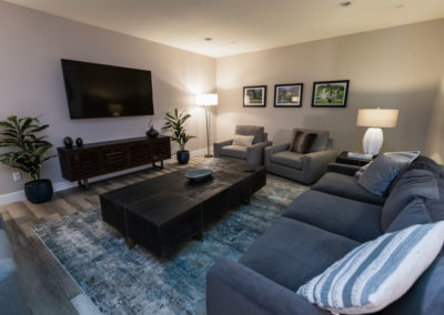 Interior recreation space with television, dark sofas, chair seating, plants, artwork, and entertainment furnishings