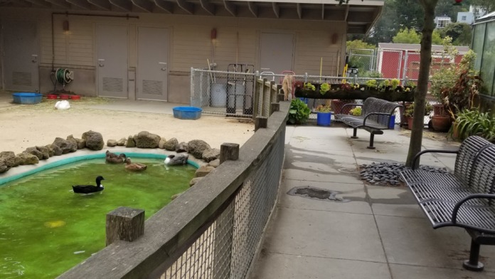 Outdoor recreation area featuring pond with water features, benches, shade trees, and community gathering space for patients