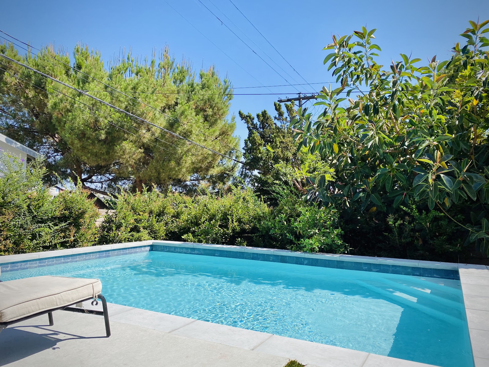Exterior pool area with turquoise water, concrete deck, lounge chair, and lush tree-lined backdrop