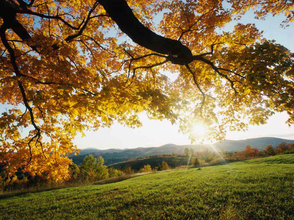 Exterior landscape view showing golden autumn foliage, rolling hills, and natural countryside setting