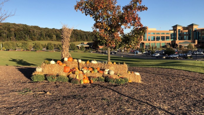 Outdoor grounds featuring fall pumpkin display, landscaping with trees and shrubs, manicured lawn, and facility building visible in background
